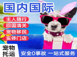 云冈空运代理国际宠物托运 【国